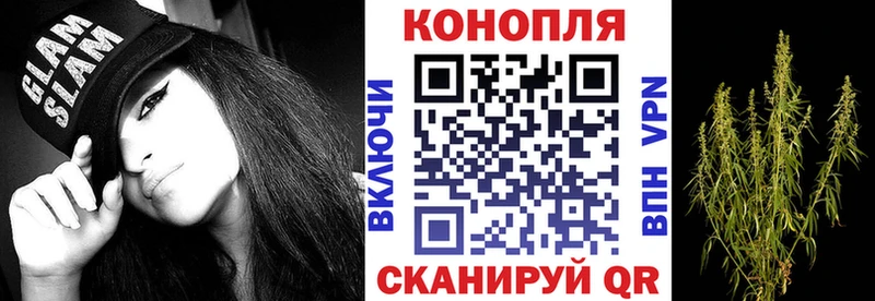 Как найти закладки Рудня Гашиш  Псилоцибиновые грибы  МЕФ  Конопля 