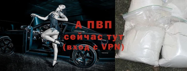 стафф Каменск-Шахтинский