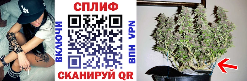 Бошки марихуана ГИДРОПОН  Рудня 